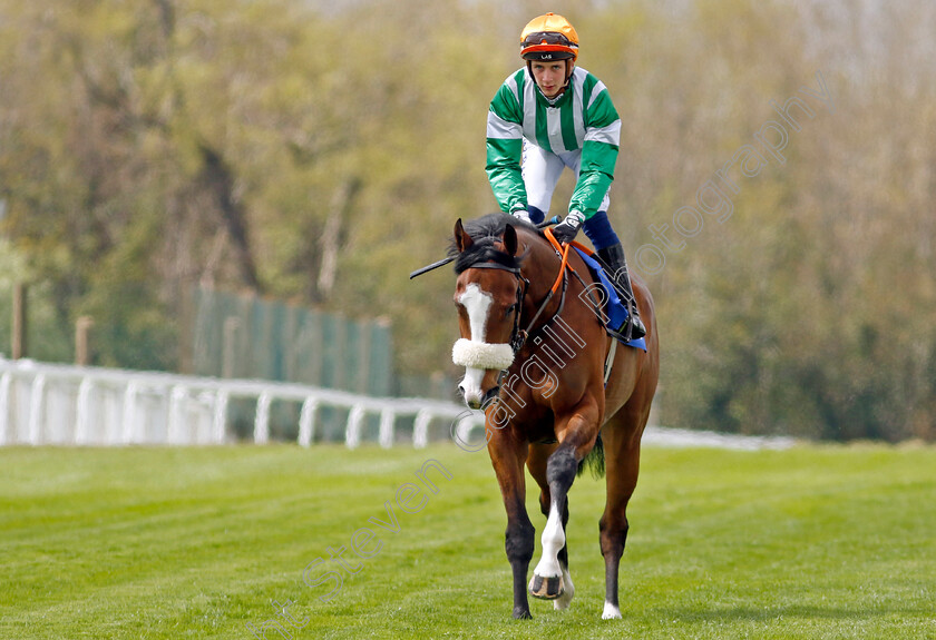 Harb-0001 
 HARB (Connor Planas)
Epsom 25 Apr 2023 - Pic Steven Cargill / Racingfotos.com