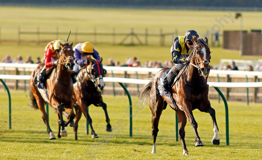 Repercussion-0002 
 REPERCUSSION (Stevie Donohoe) wins The Molson Coors Handicap Newmarket 28 Sep 2017 - Pic Steven Cargill / Racingfotos.com