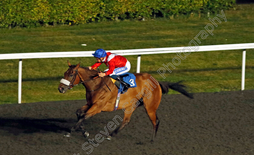 Incensed-0003 
 INCENSED (David Probert) wins The Happy 45th Anniversary Sunbury Antiques Handicap
Kempton 6 Sep 2024 - Pic Steven Cargill / Racingfotos.com