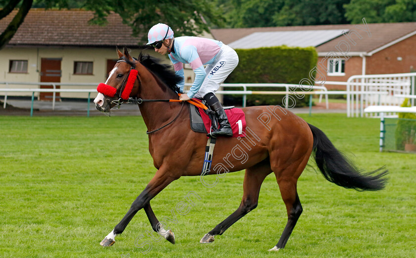 Pearl-Eye-0001 
 PEARL EYE (Jason Watson)
Haydock 24 May 2024 - Pic Steven cargill / Racingfotos.com