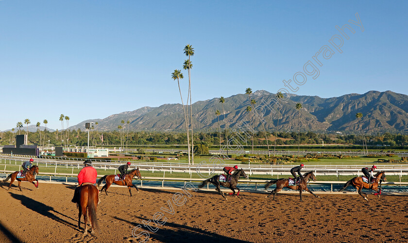 Broome,-Bolshoi-Ballet-and-Auguste-Rodin-0003 
 BROOME leads BOLSHOI BALLET and AUGUSTE RODIN training for the Breeders' Cup 
Santa Anita 2 Nov 2023 - Pic Steven Cargill / Racingfotos.com