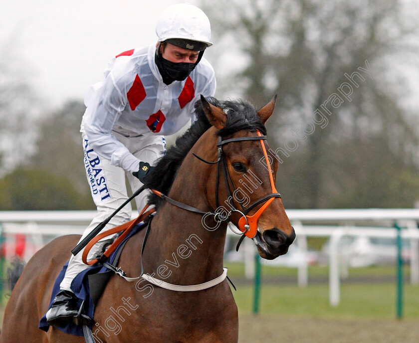 Pride-Of-England-0001 
 PRIDE OF ENGLAND (Adam Kirby) winner of The Get Your Ladbrokes Daily Odds Boost Novice Stakes
Lingfield 10 Mar 2021 - Pic Steven Cargill / Racingfotos.com