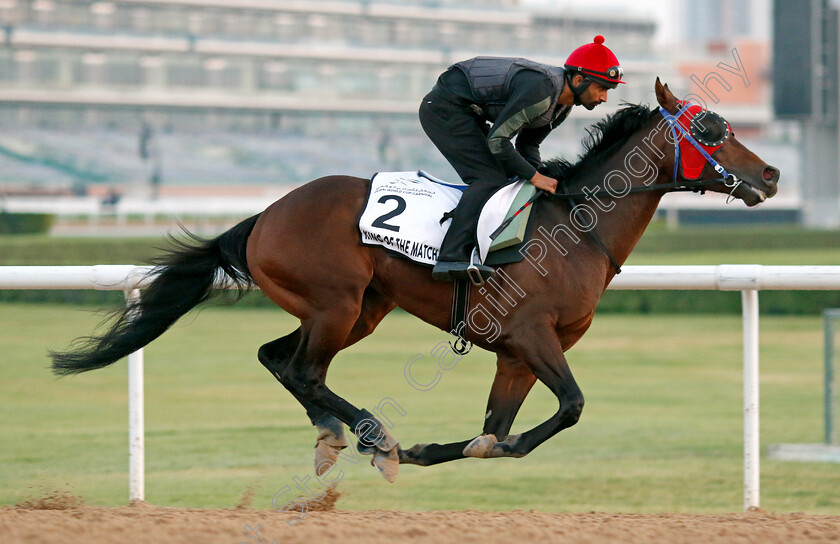 King-Of-The-Match-0001 
 KING OF THE MATCH training at Meydan, Dubai
2 Feb 2023 - Pic Steven Cargill / Racingfotos.com