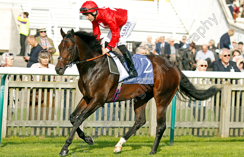 Chindit-0002 
 CHINDIT (Pat Dobbs)
Newmarket 29 Sep 2023 - Pic Steven Cargill / Racingfotos.com