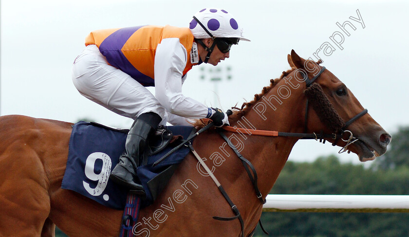 Golden-Parade-0005 
 GOLDEN PARADE (David Allan) wins The Grand Theatre Wolverhampton Handicap
Wolverhampton 17 Jul 2019 - Pic Steven Cargill / Racingfotos.com