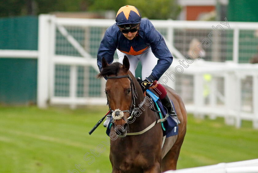 Noor-Bano-0002 
 NOOR BANO (Jefferson Smith)
Yarmouth 19 Sep 2023 - Pic Steven Cargill / Racingfotos.com