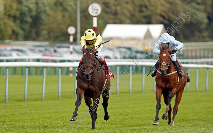 Without-A-Fight-0005 
 WITHOUT A FIGHT (Andrea Atzeni) beats TORONTO (right) in The Read Ryan Moore Columns On Betting.Betfair Handicap
Haydock 3 Sep 2020 - Pic Steven Cargill / Racingfotos.com