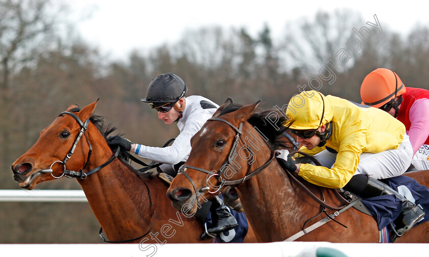 Zest-0004 
 ZEST (left, Daniel Muscutt) beats SUMMER ICON (right) in The British Stallion Studs 32Red EBF Fillies Conditions Stakes Lingfield 27 Feb 2018 - Pic Steven Cargill / Racingfotos.com