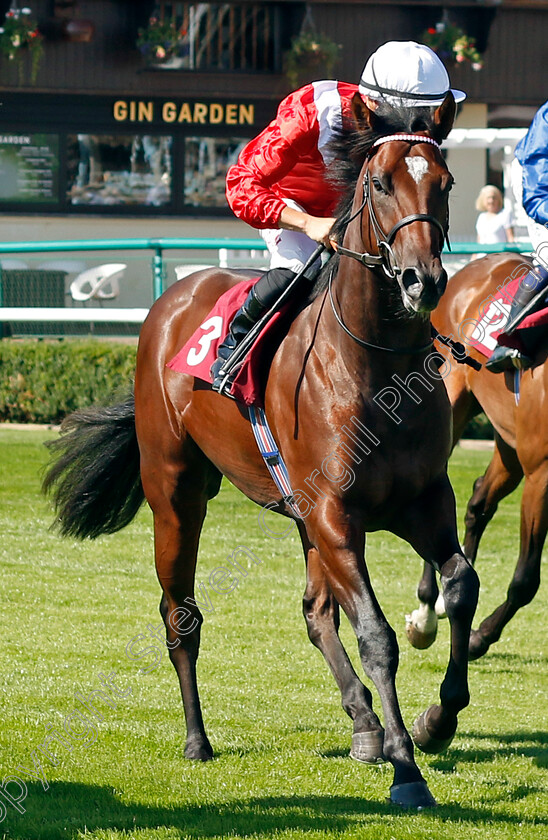 Attaj-0001 
 ATTAJ (Tom Marquand)
Haydock 1 Sep 2022 - Pic Steven Cargill / Racingfotos.com