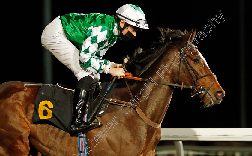 El-Salvaje-0003 
 EL SALVAJE (Callum Shepherd)
Kempton 3 Feb 2021 - Pic Steven Cargill / Racingfotos.com