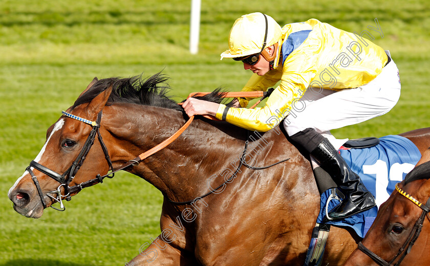 Reverend-Jacobs-0006 
 REVEREND JACOBS (James Doyle) wins The Oaks Farm Stables Handicap York 16 May 2018 - Pic Steven Cargill / Racingfotos.com