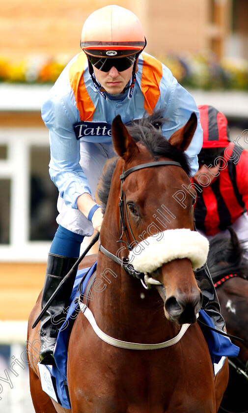 Yousini-0001 
 YOUSINI (Kevin Stott)
York 15 Jun 2019 - Pic Steven Cargill / Racingfotos.com