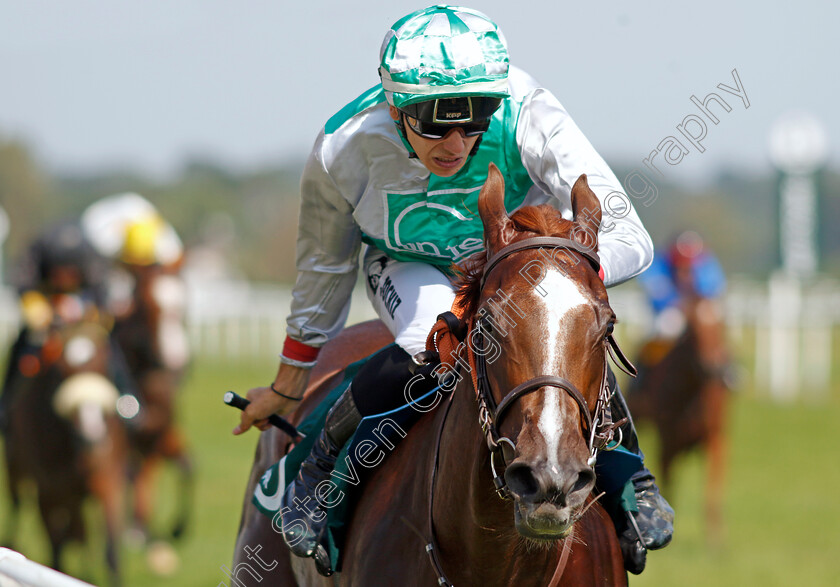 Lips-Vega-0001 
 LIPS VEGA (Hugo Boutin) 
Baden Baden 31 Aug 2024 - Pic Steven Cargill / Racingfotos.com