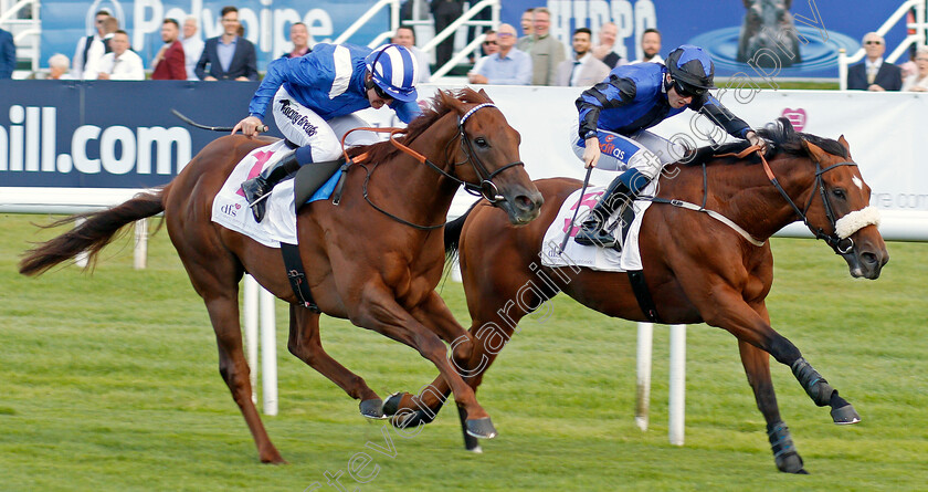 Mutamaasik-0001 
 MUTAMAASIK (left, Jim Crowley) beats THE GREAT HEIR (right) in The DFS Handicap
Doncaster 12 Sep 2019 - Pic Steven Cargill / Racingfotos.com