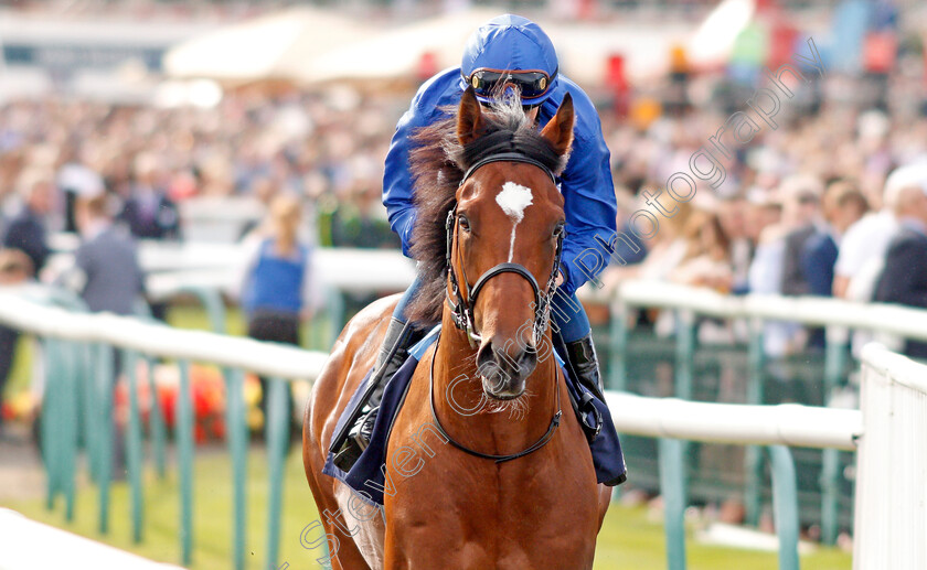 Royal-Crusade-0001 
 ROYAL CRUSADE (William Buick)
Doncaster 14 Sep 2019 - Pic Steven Cargill / Racingfotos.com