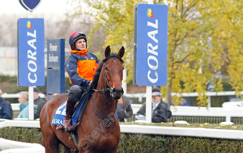 Rip-Wheeler-0001 
 RIP WHEELER
Coral Gold Cup gallops morning Newbury 19 Nov 20234 - Pic Steven Cargill / Racingfotos.com