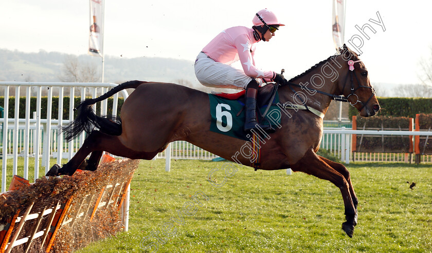 Tricks-And-Trails-0001 
 TRICKS AND TRAILS (Brendan Powell)
Cheltenham 14 Dec 2018 - Pic Steven Cargill / Racingfotos.com