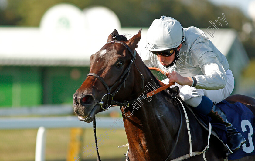 Forest-Falcon-0008 
 FOREST FALCON (William Buick) wins The British Stallion Studs EBF Novice Stakes
Yarmouth 17 Sep 2020 - Pic Steven Cargill / Racingfotos.com