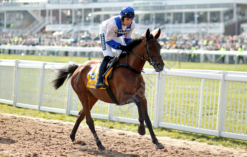 Roksana-0001 
 ROKSANA (Harry Skelton)
Aintree 6 Apr 2019 - Pic Steven Cargill / Racingfotos.com