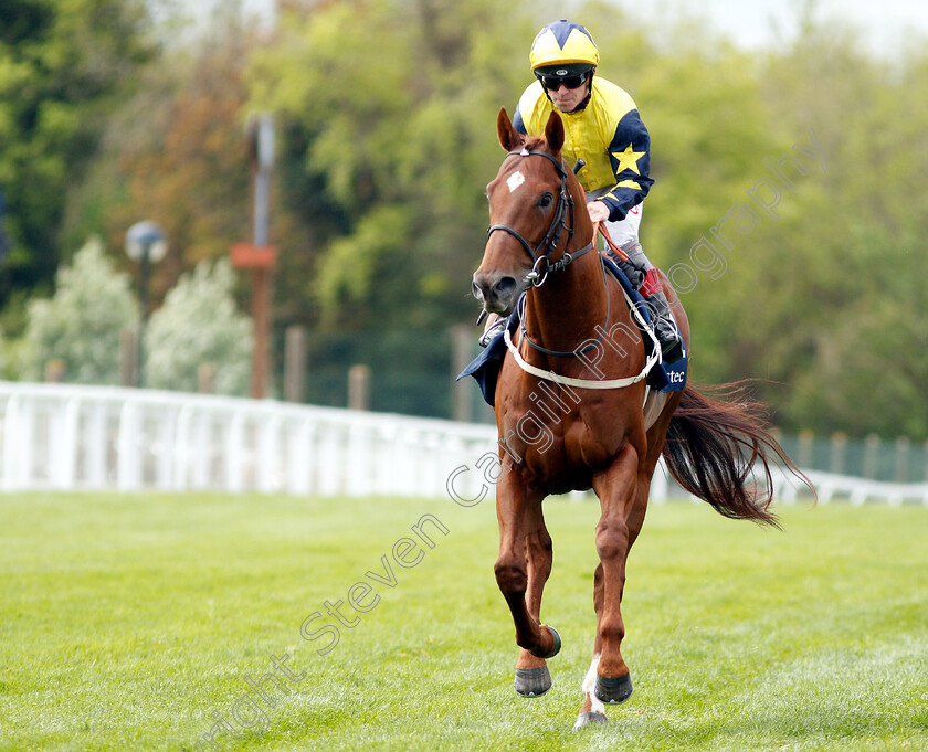 Massam-0001 
 MASSAM (Franny Norton)
Epsom 24 Apr 2019 - Pic Steven Cargill / Racingfotos.com