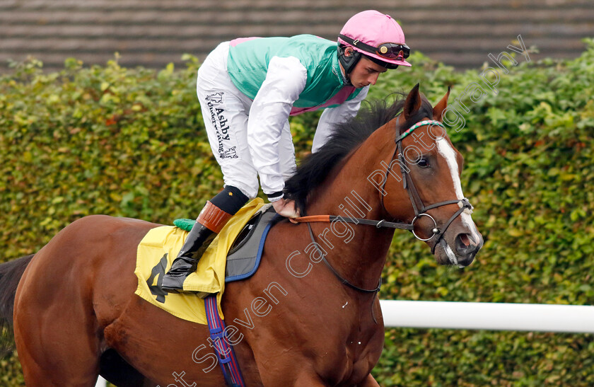 Brave-Mission-0006 
 BRAVE MISSION (Rossa Ryan) winner of The Racing TV British Stallion Studs EBF Novice Stakes
Kempton 6 Sep 2024 - Pic Steven Cargill / Racingfotos.com