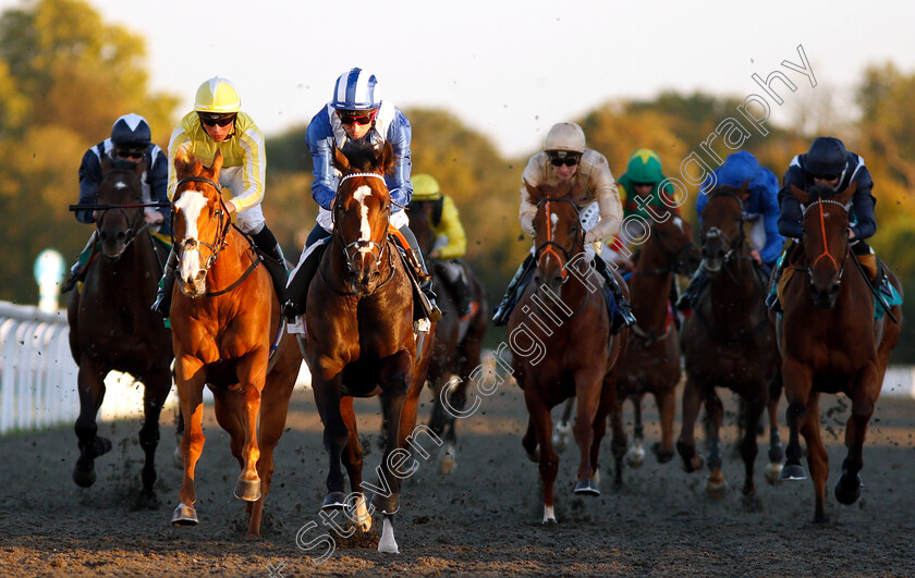 Alfarqad-0004 
 ALFARQAD (centre, Dane O'Neill) beats RING DANCER (left) in The 100% Profit Boost At 32Redsport.com Novice Stakes Div1
Kempton 27 Sep 2018 - Pic Steven Cargill / Racingfotos.com