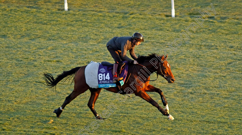 New-Century-0002 
 NEW CENTURY (Oisin Murphy) training for the Breeders' Cup Juvenile Turf
Del Mar USA 30 Oct 2024 - Pic Steven Cargill / Racingfotos.com