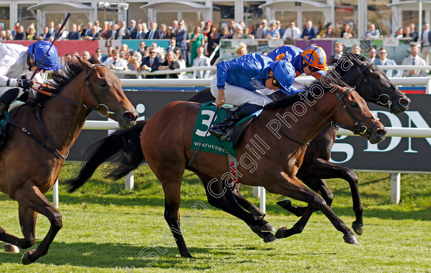 Hallasan-0002 
 HALLASAN (William Buick) wins The Weatherbys Scientific £300,000 2-y-o Stakes
Doncaster 12 Sep 2024 - Pic Steven Cargill / Racingfotos.com