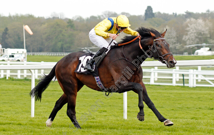 Young-Rascal-0002 
 YOUNG RASCAL (James Doyle) wins The Carter Jonas Maiden Stakes Newbury 21 Apr 2018 - Pic Steven Cargill / Racingfotos.com