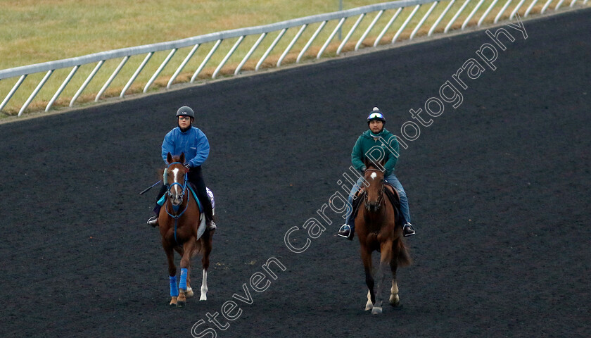 Chain-Of-Love-0001 
 CHAIN OF LOVE (left) training for the Breeders' Cup Filly & Mare Sprint
Keeneland, USA 31 Oct 2022 - Pic Steven Cargill / Racingfotos.com