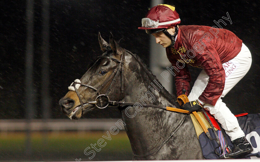 Wolsey 
 WOLSEY (Cieren Fallon)
Wolverhampton 11 Mar 2022 - Pic Steven Cargill / Racingfotos.com