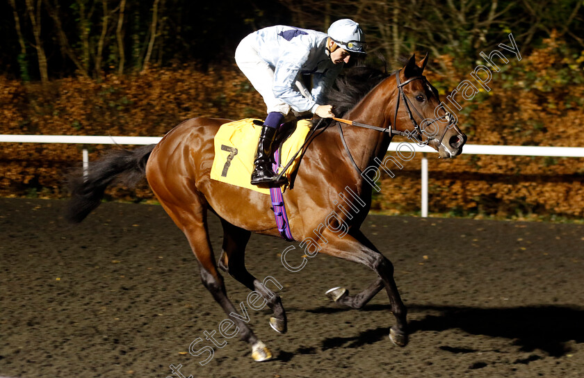 Tokyo-Joe-0001 
 TOKYO JOE (Hector Crouch)
Kempton 11 Dec 2024 - Pic Steven Cargill / Racingfotos.com