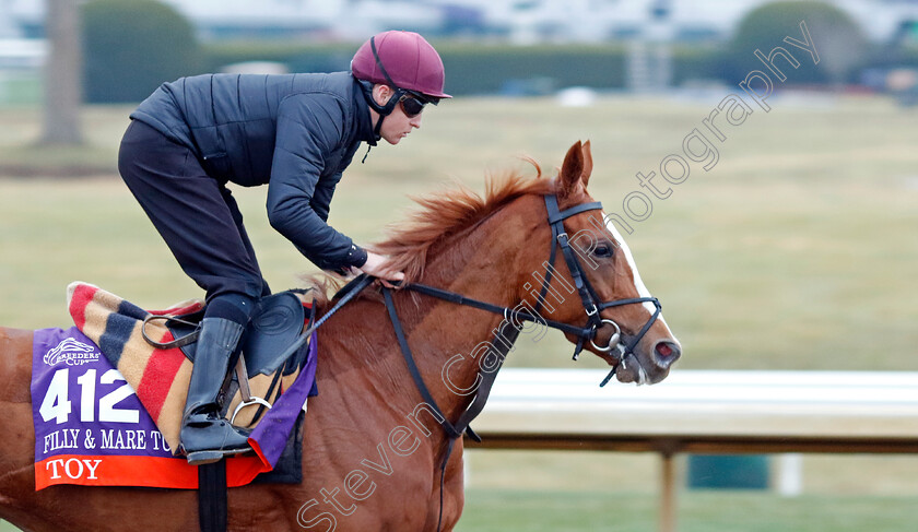 Toy-0001 
 TOY training for the Breeders' Cup Turf
Keeneland USA 2 Nov 2022 - Pic Steven Cargill / Racingfotos.com