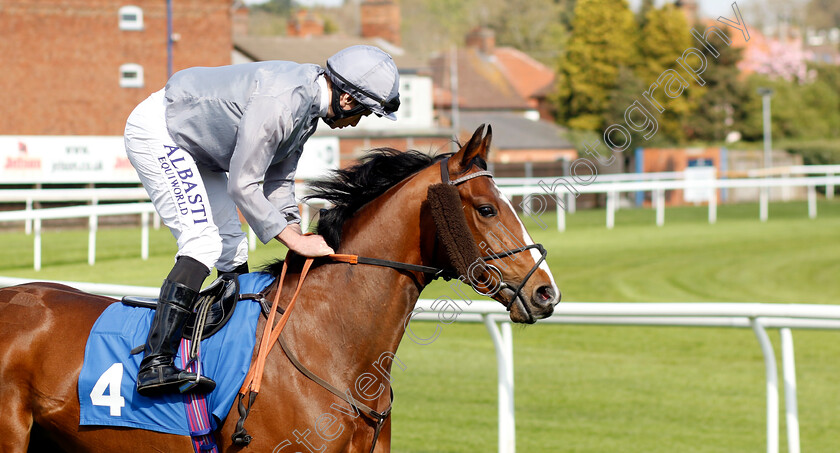 United-Force-0005 
 UNITED FORCE (Ryan Moore) winner of The Staropramen Zero Alcohol Handicap
Leicester 29 Apr 2023 - Pic Steven Cargill / Racingfotos.com