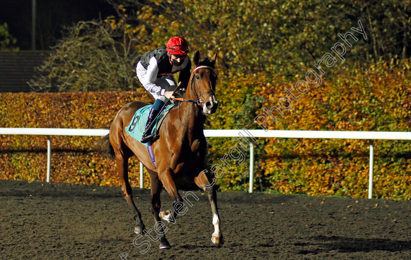 Mariegold-0001 
 MARIEGOLD (Callum Shepherd)
Kempton 11 Nov 2020 - Pic Steven Cargill / Racingfotos.com