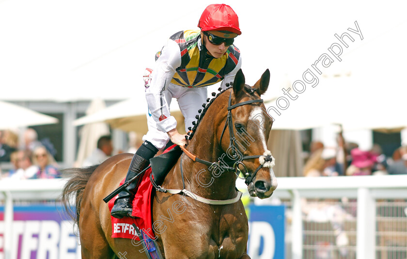 Escobar-0001 
 ESCOBAR (Jason Watson)
Epsom 3 Jun 2023 - Pic Steven Cargill / Racingfotos.com