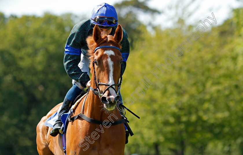 Mirage-Mac-0002 
 MIRAGE MAC (William Buick)
Saslisbury 8 Jun 2021 - Pic Steven Cargill / Racingfotos.com