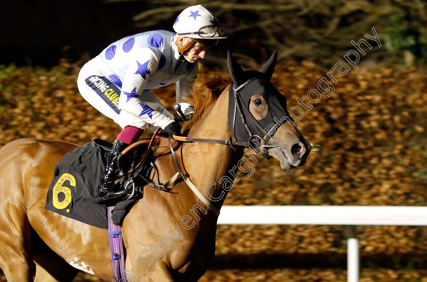 Qaaeadd-0001 
 QAAEADD (Edward Greatrex)
Kempton 11 Dec 2024 - Pic Steven Cargill / Racingfotos.com