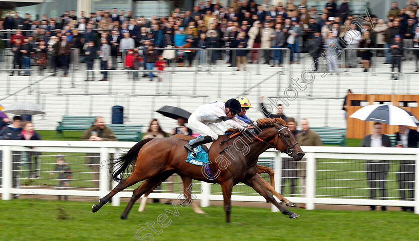 Projection-0003 
 PROJECTION (Kieran Shoemark) wins The John Guest Racing Bengough Stakes
Ascot 6 Oct 2018 - Pic Steven Cargill / Racingfotos.com