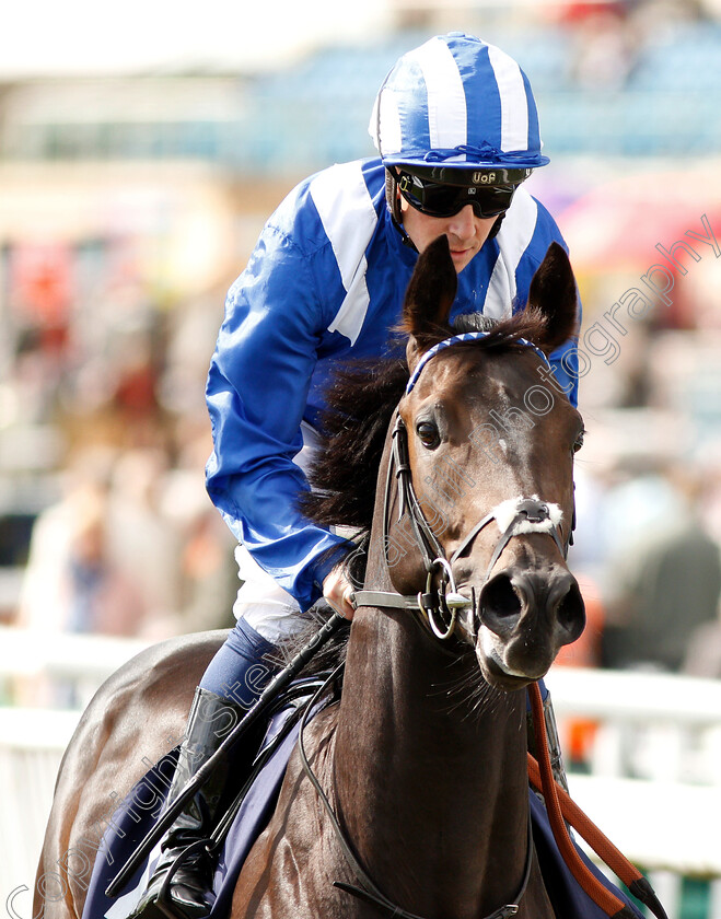 Khaadem-0002 
 KHAADEM (Jim Crowley) winner of The British Stallion Studs EBF Conditions Stakes
Doncaster 12 Sep 2018 - Pic Steven Cargill / Racingfotos.com