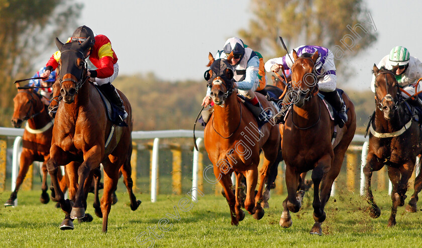 Siberian-Night-0002 
 SIBERIAN NIGHT (right, Tom Marquand) beats TRUE BELIEF (left) in The Download The At The Races App Handicap
Yarmouth 20 Oct 2020 - Pic Steven Cargill / Racingfotos.com