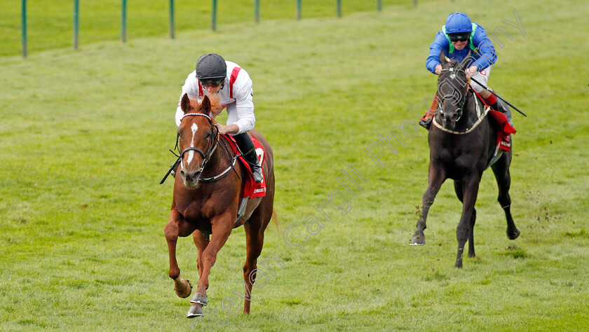 Convict-0005 
 CONVICT (Tom Marquand) wins The Matchbook EBF Future Stayers Nursery 
Newmarket 23 Oct 2019 - Pic Steven Cargill / Racingfotos.com