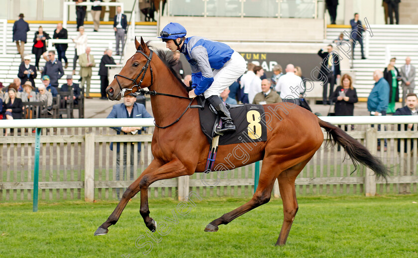 Lucidity-0001 
 LUCIDITY (Rhys Clutterbuck)
Newmarket 29 Oct 2022 - Pic Steven Cargill / Racingfotos.com