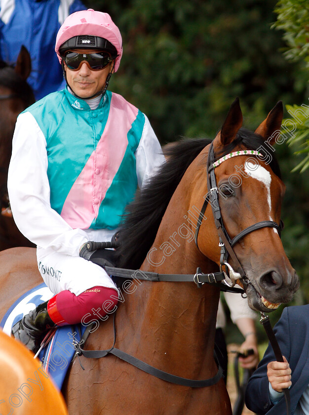 Enable-0003 
 ENABLE (Frankie Dettori) before winning The Coral Eclipse Stakes
Sandown 6 Jul 2019 - Pic Steven Cargill / Racingfotos.com