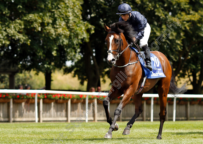 Fleet-Review-0002 
 FLEET REVIEW (Wayne Lordan)
Newmarket 14 Jul 2018 - Pic Steven Cargill / Racingfotos.com