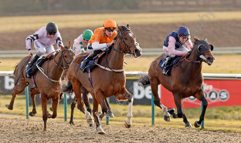 Regicide-0002 
 REGICIDE (centre, Daniel Muscutt) beats KING KEVIN (right) in The Betway Live Casino Handicap Lingfield 16 Feb 2018 - Pic Steven Cargill / Racingfotos.com