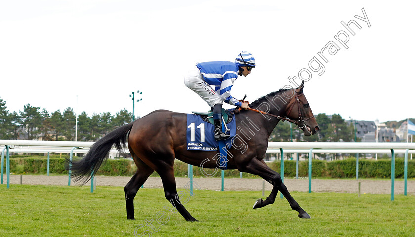 Big-Rock-0003 
 BIG ROCK (A Lemaitre)
Deauville 13 Aug 2023 - Pic Steven Cargill / Racingfotos.com