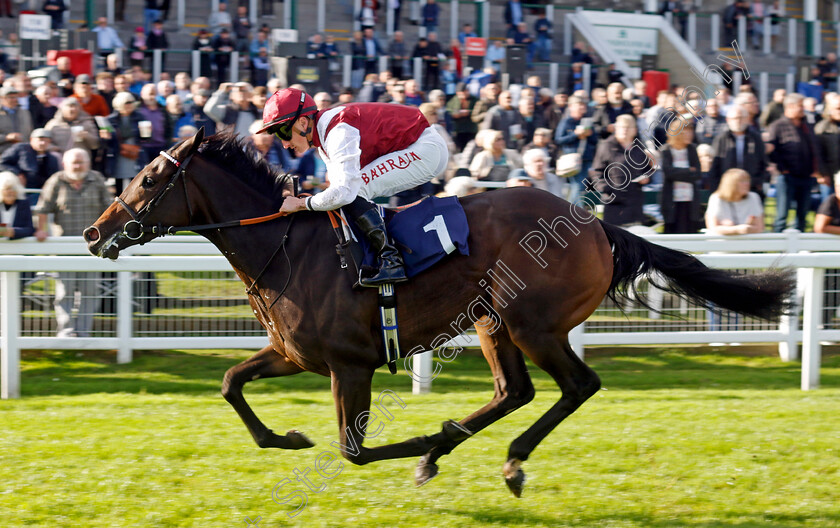 Alobayyah-0001 
 ALOBAYYAH (Tom Marquand) wins The British Stallion Studs EBF Fillies Novice Stakes
Yarmouth 22 Oct 2024 - Pic Steven Cargill / Racingfotos.com