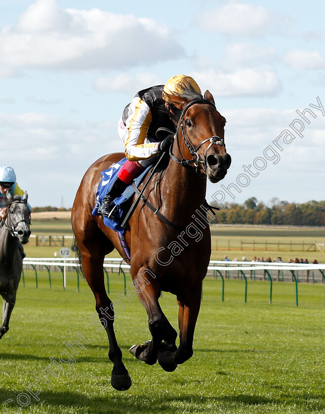 Highgarden-0002 
 HIGHGARDEN (Frankie Dettori) wins The Princess Royal Nayef Stakes
Newmarket 28 Sep 2018 - Pic Steven Cargill / Racingfotos.com