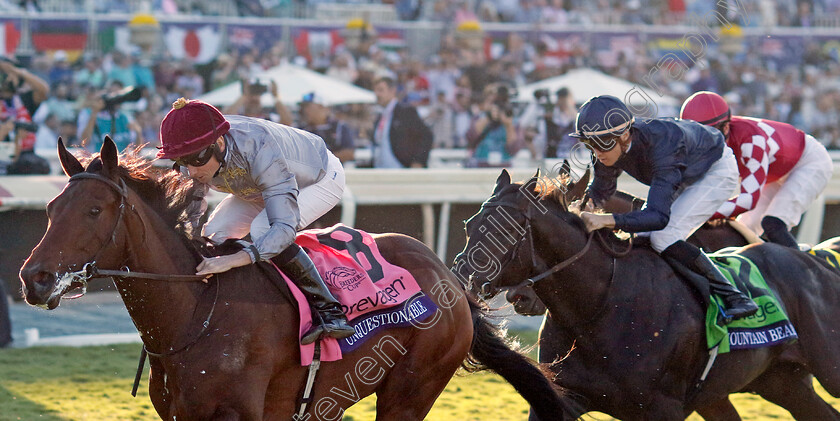 Unquestionable-0007 
 UNQUESTIONABLE (Ryan Moore) wins The Breeders' Cup Juvenile Turf
Santa Anita 3 Nov 2023 - Pic Steven Cargill / Racingfotos.com